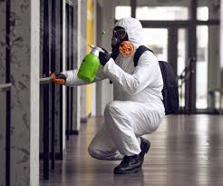 Best Mold Remediation for Rental Properties  in Harvest, AL